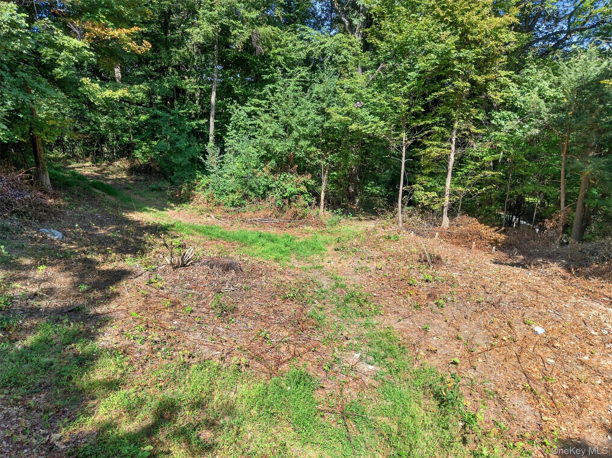 331 Mountain Lodge Road, Blooming Grove, NY 10914