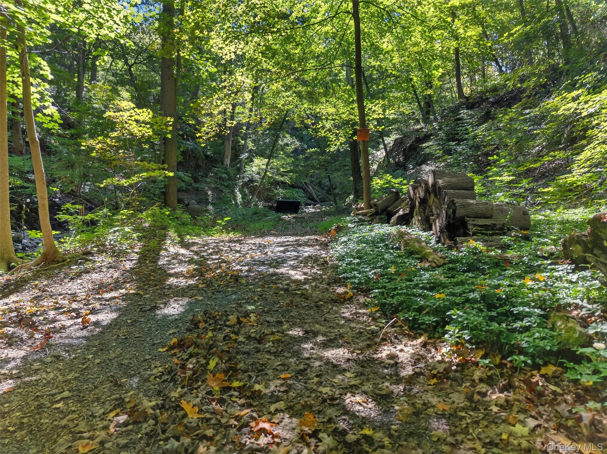 331 Mountain Lodge Road, Blooming Grove, NY 10914