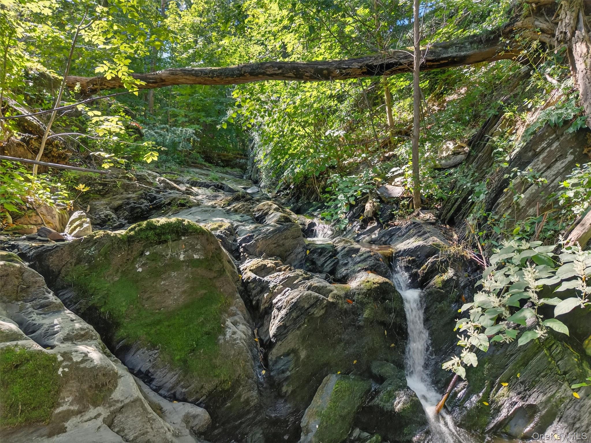 331 Mountain Lodge Road, Blooming Grove, NY 10914