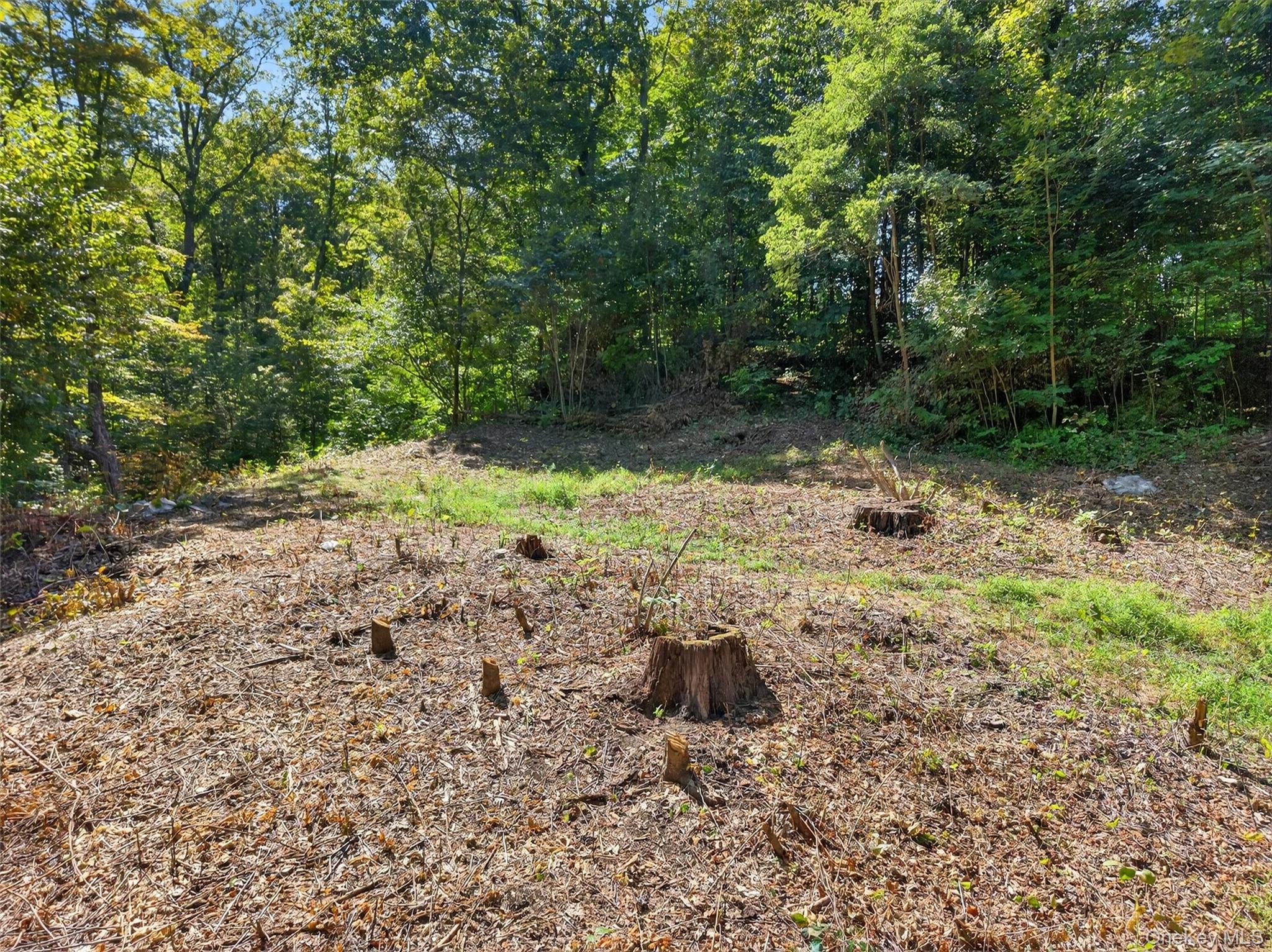 331 Mountain Lodge Road, Blooming Grove, NY 10914