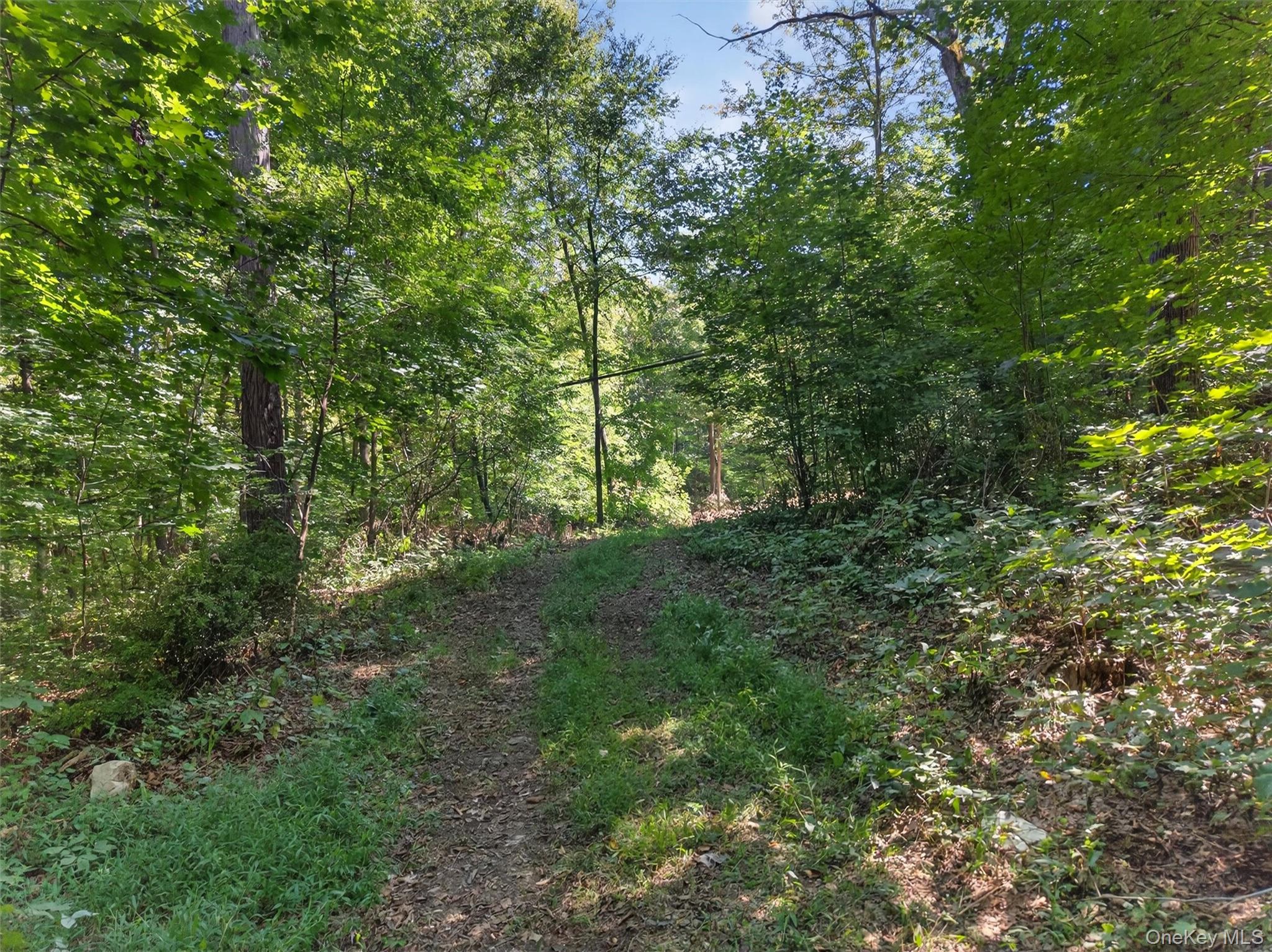 331 Mountain Lodge Road, Blooming Grove, NY 10914