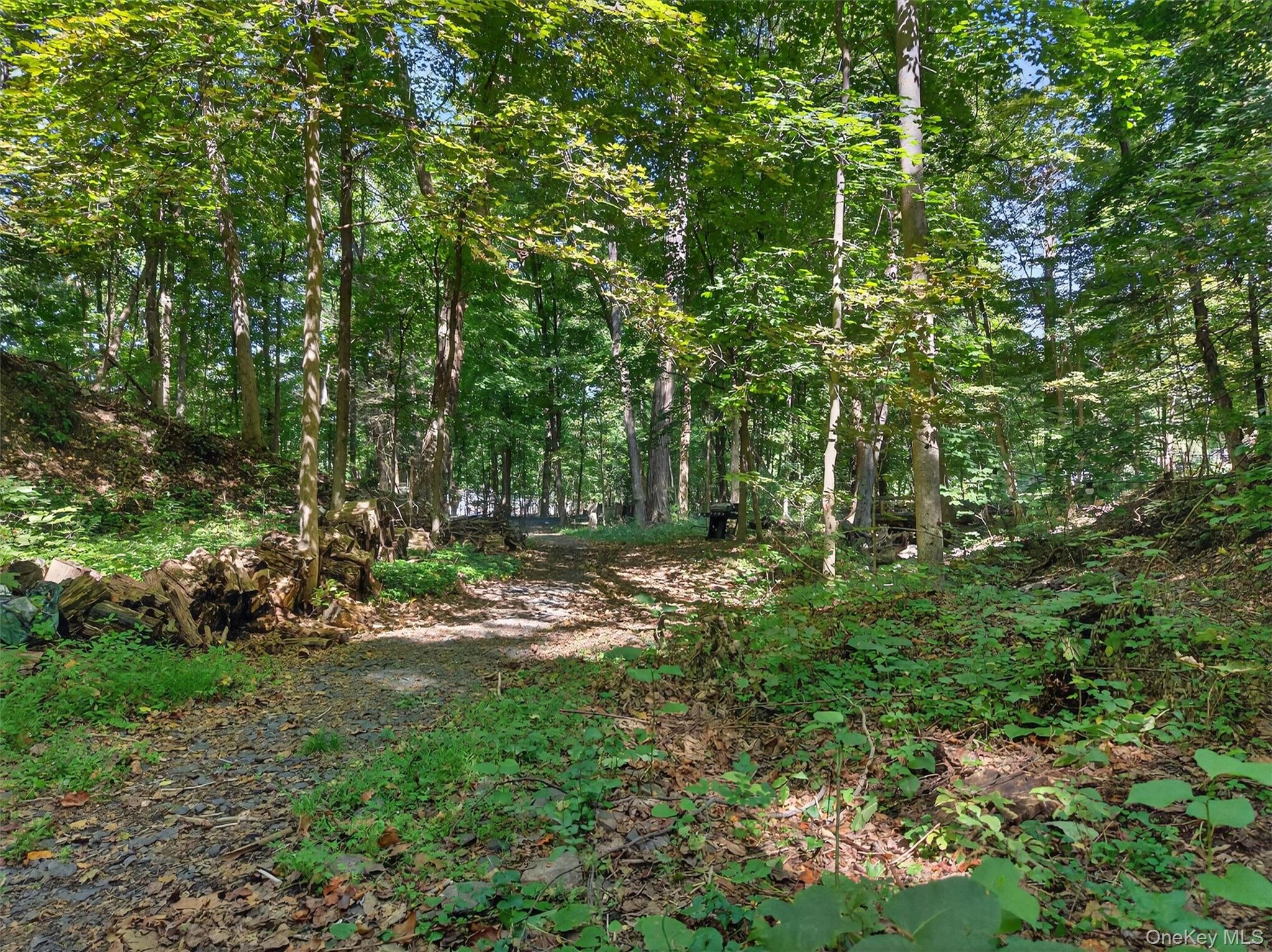 331 Mountain Lodge Road, Blooming Grove, NY 10914