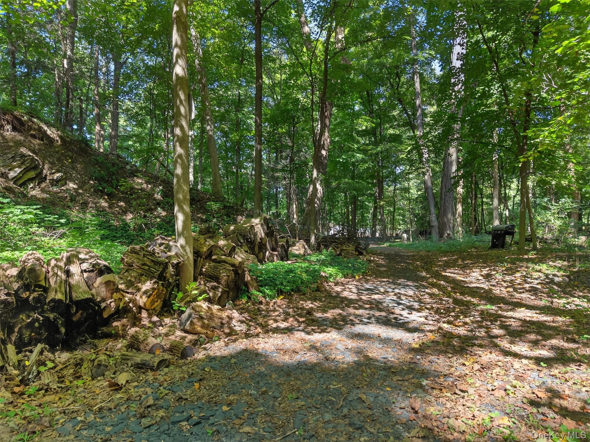 331 Mountain Lodge Road, Blooming Grove, NY 10914