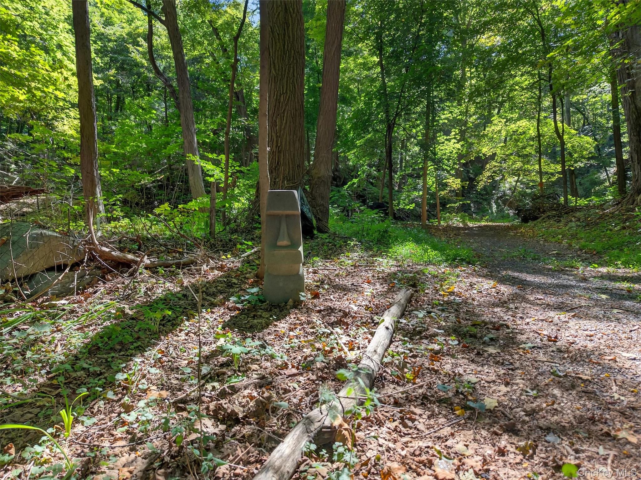 331 Mountain Lodge Road, Blooming Grove, NY 10914