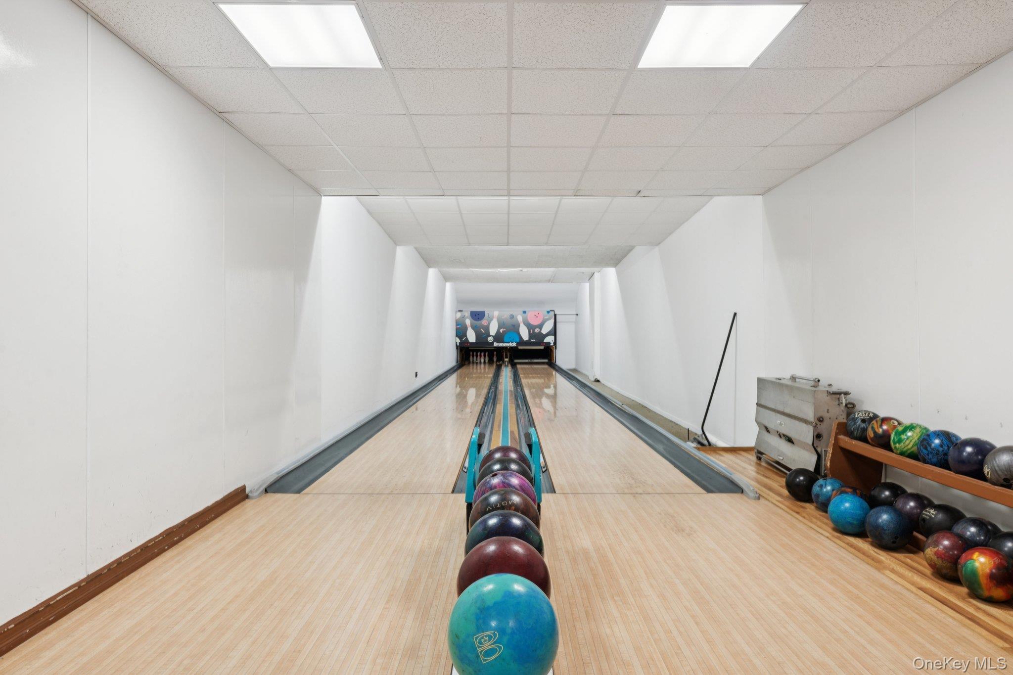 58 Birchwood Road, Coram, NY 11727