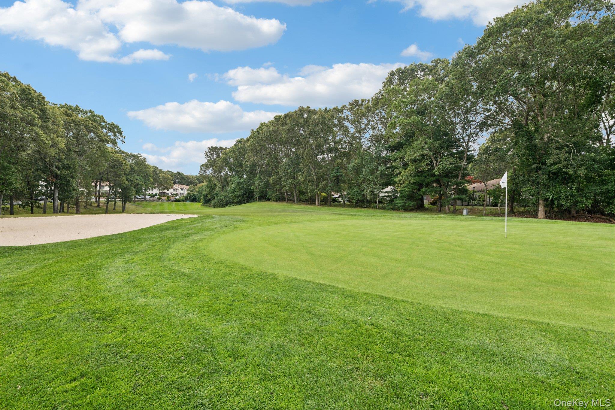 58 Birchwood Road, Coram, NY 11727