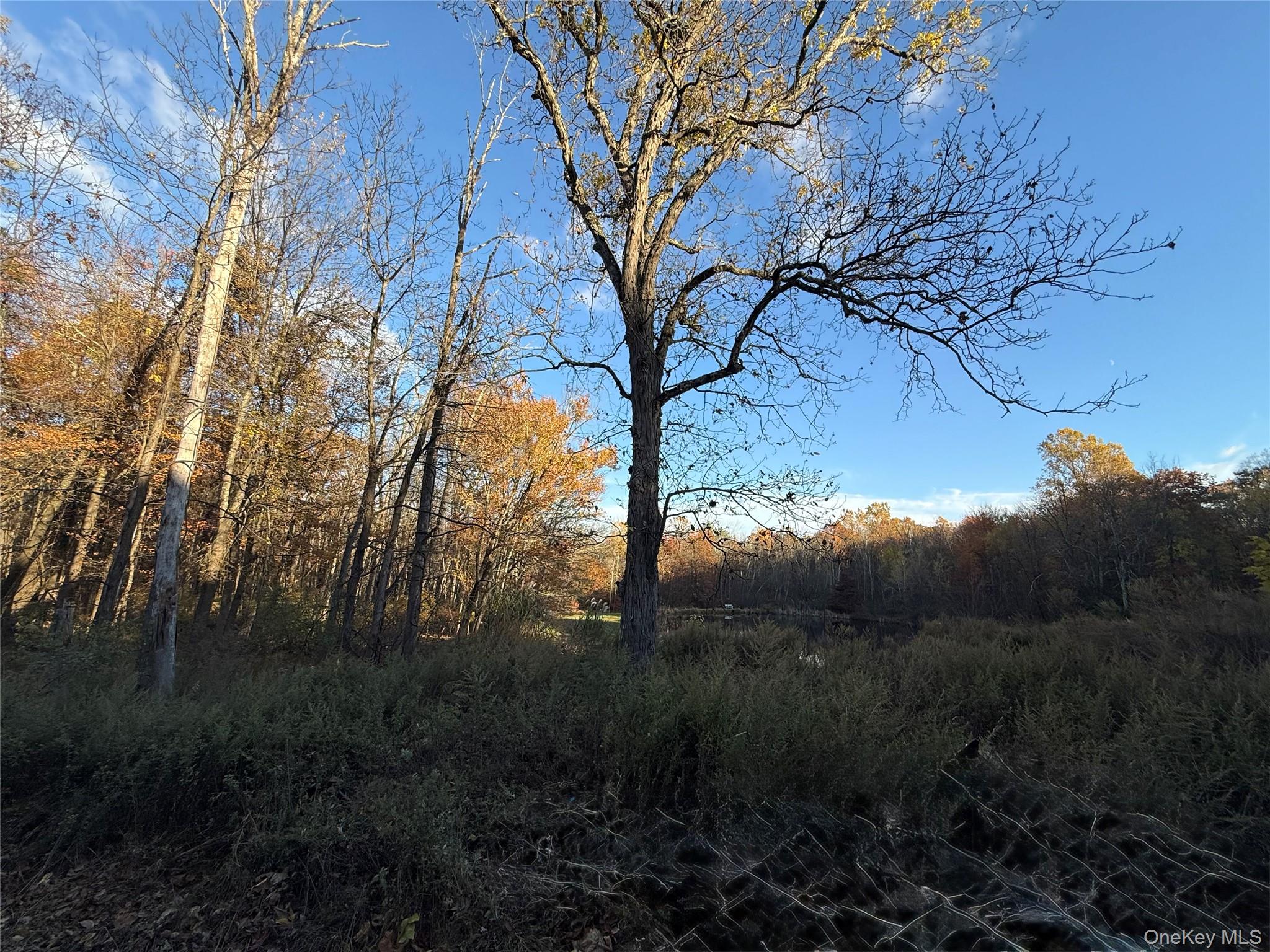 118 Old Roosa Gap Road, Bloomingburg, NY 12721