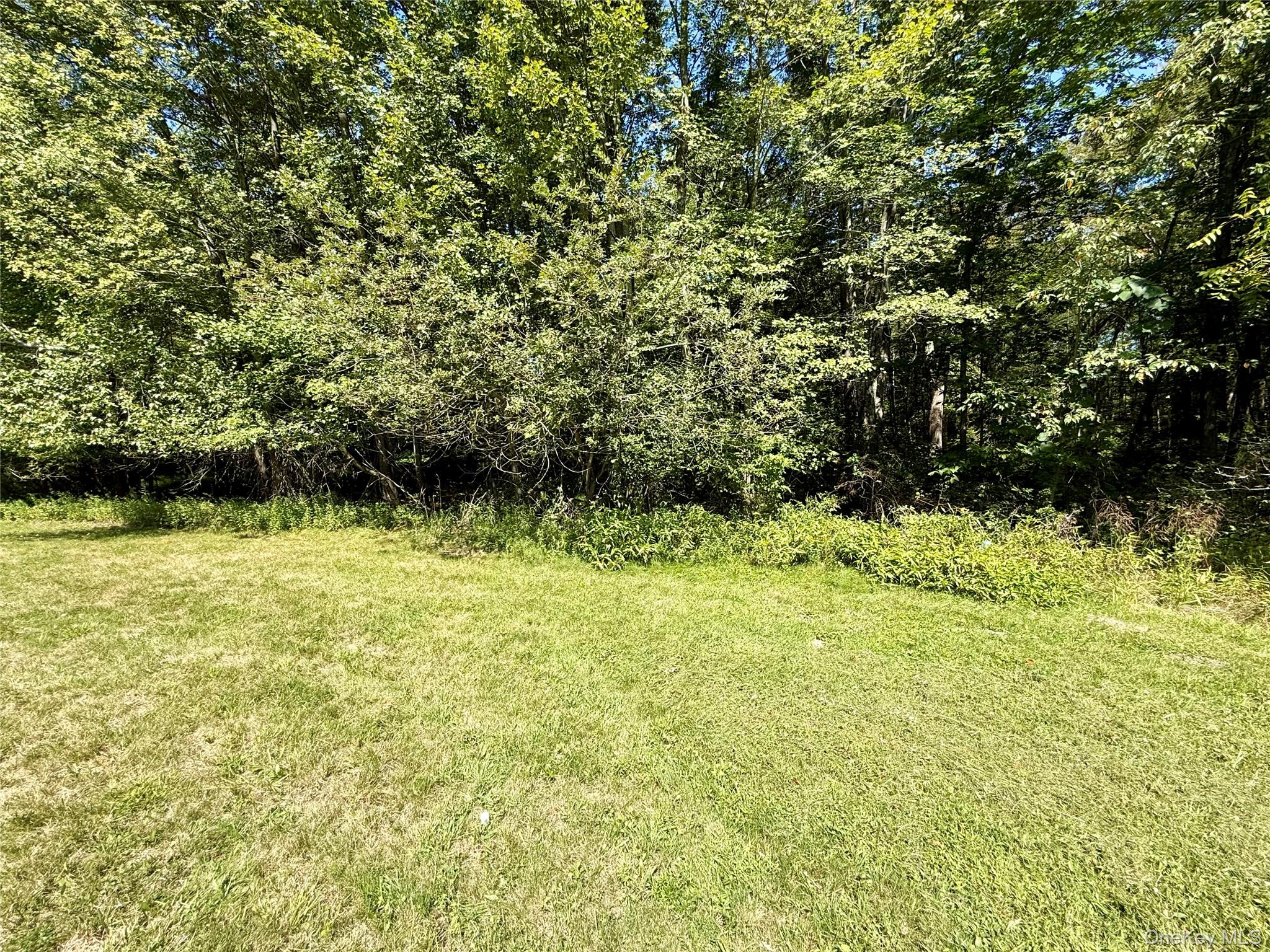 118 Old Roosa Gap Road, Bloomingburg, NY 12721