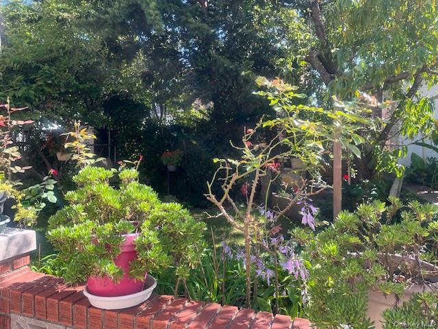 6417 70th Street, Middle Village, NY 11379