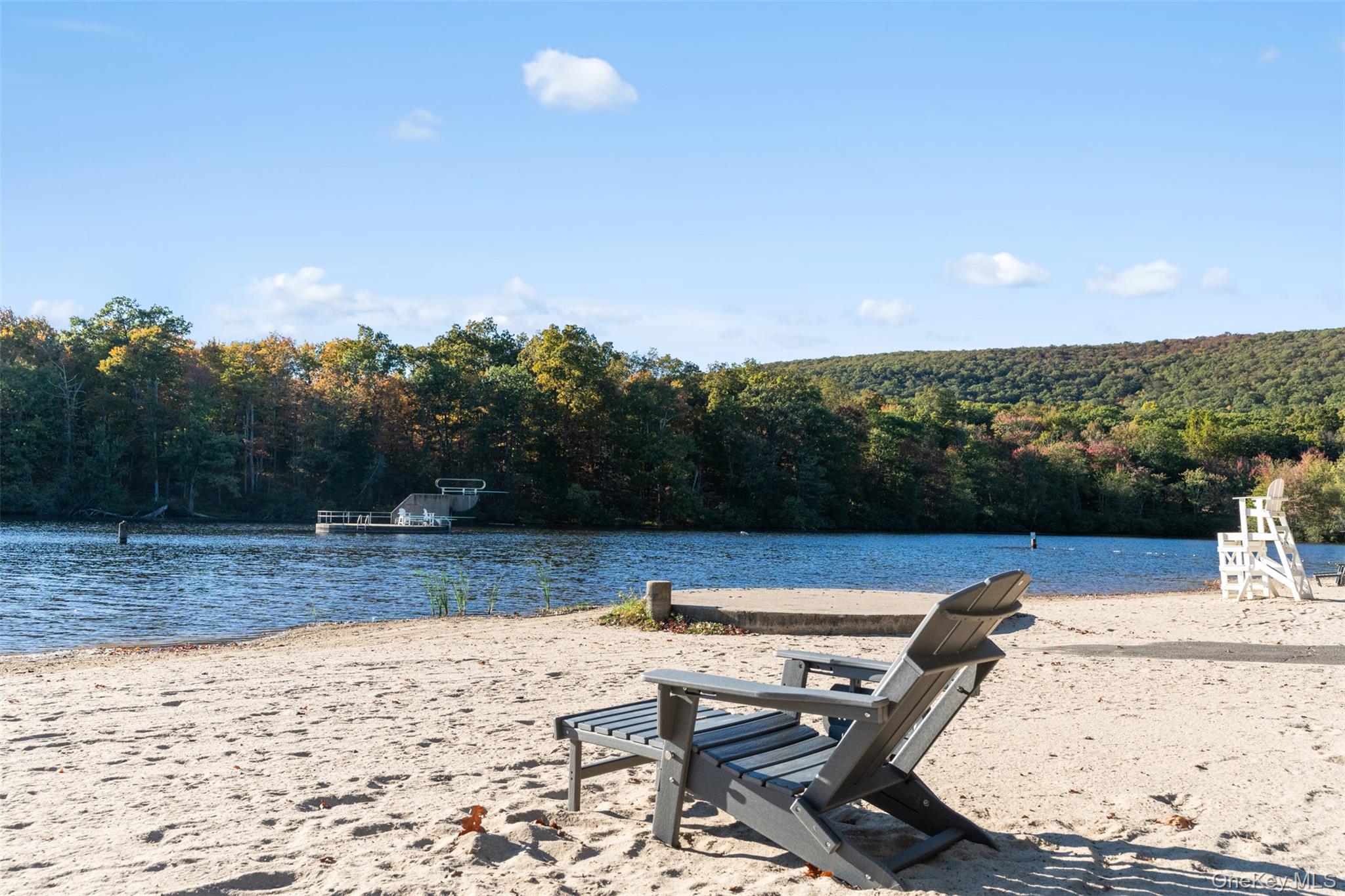 8 Ledger View Court, Highland Mills, NY 10930