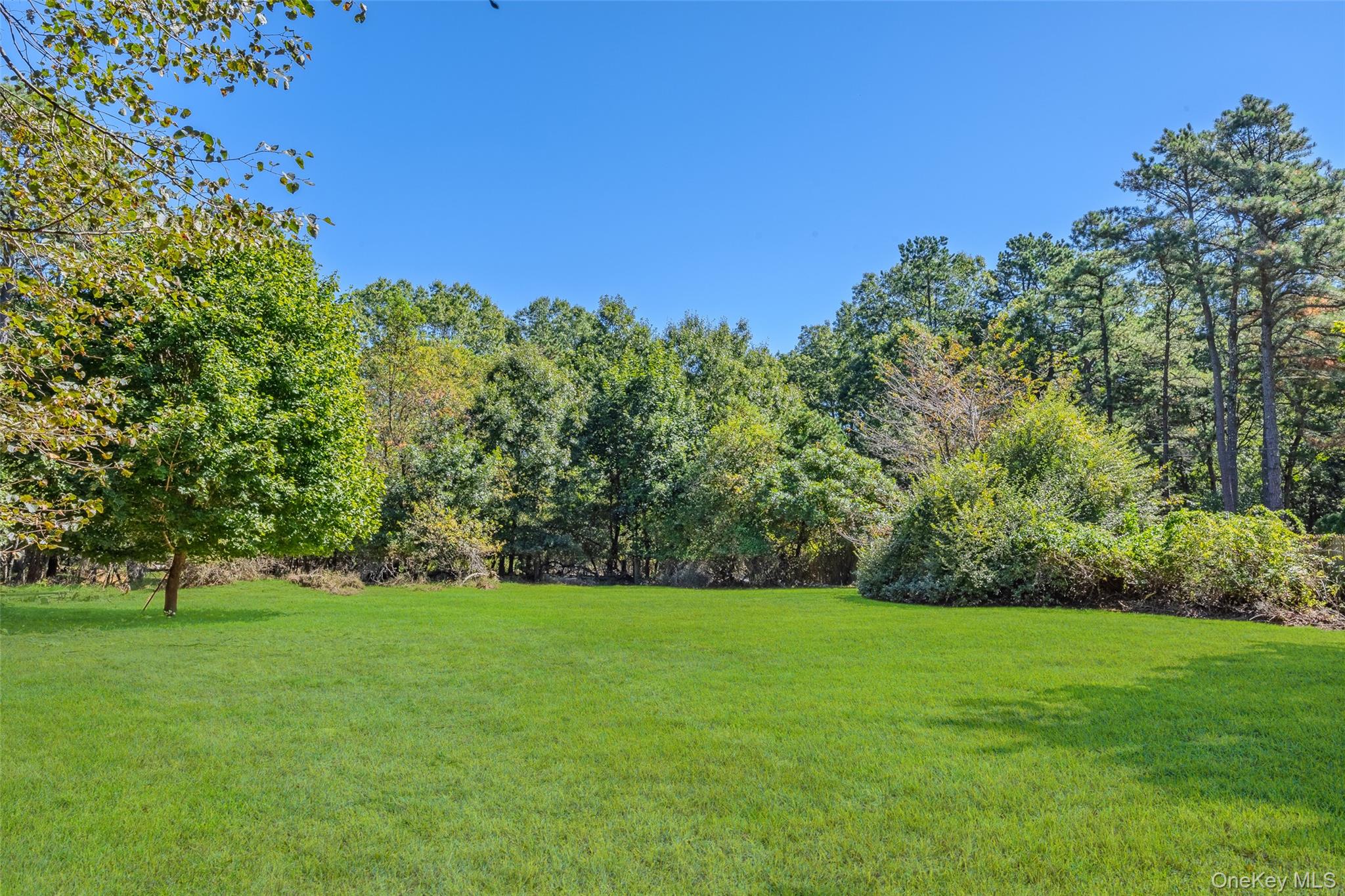 115 Weeks Avenue, Manorville, NY 11949