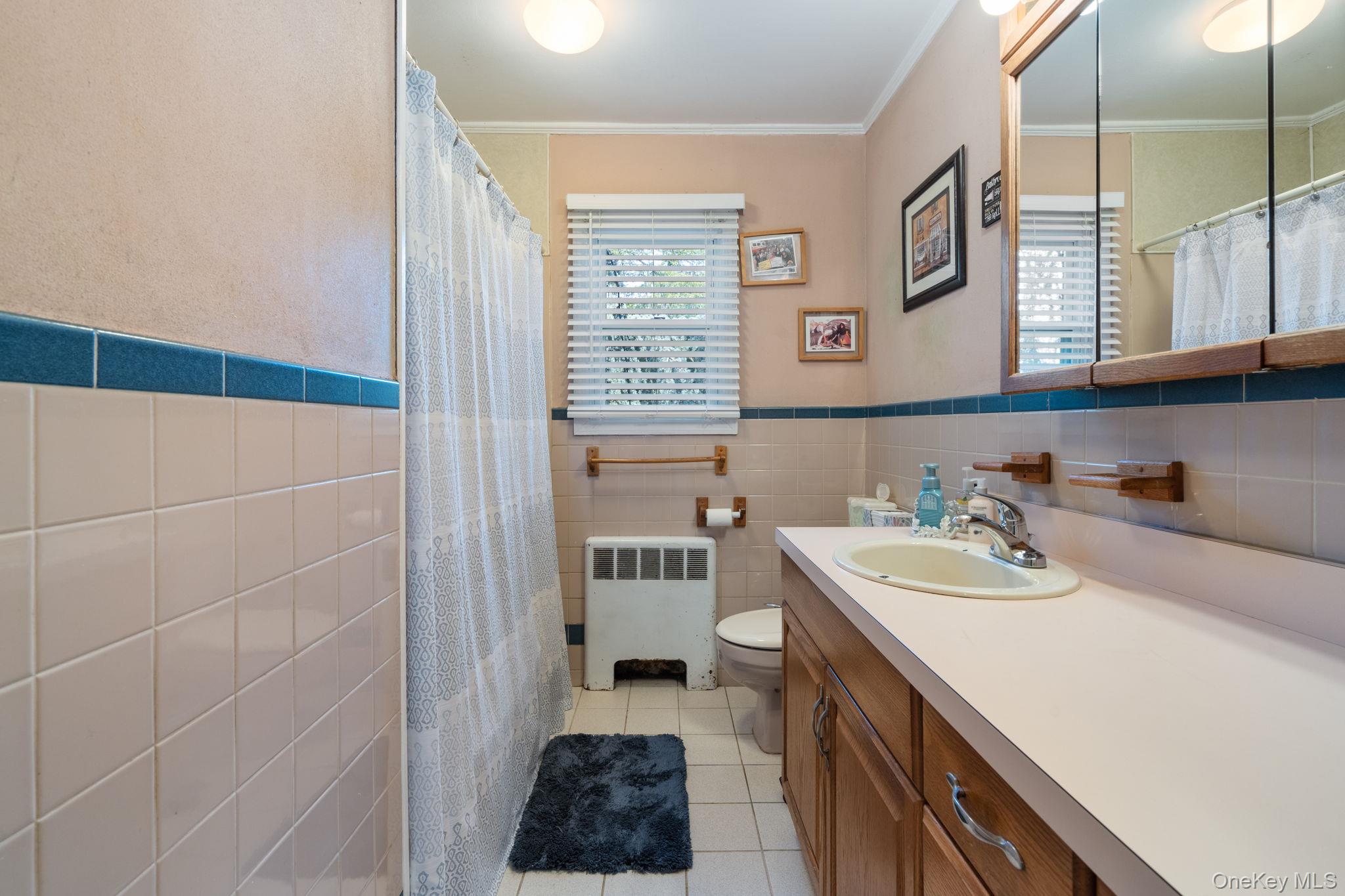 68 Thorne Avenue, North Massapequa, NY 11758