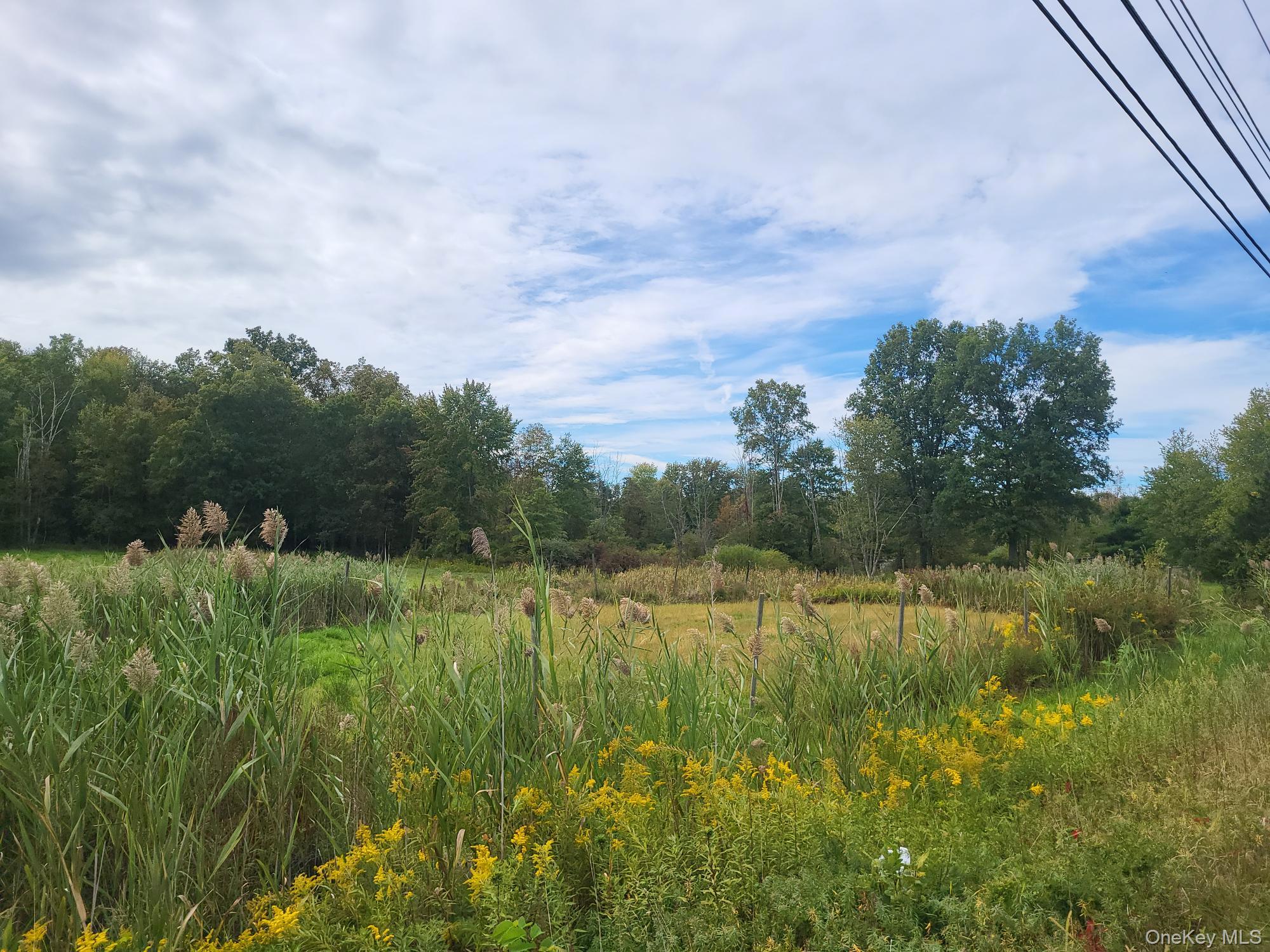 328 Bloomingburg Road, Middletown, NY 10940