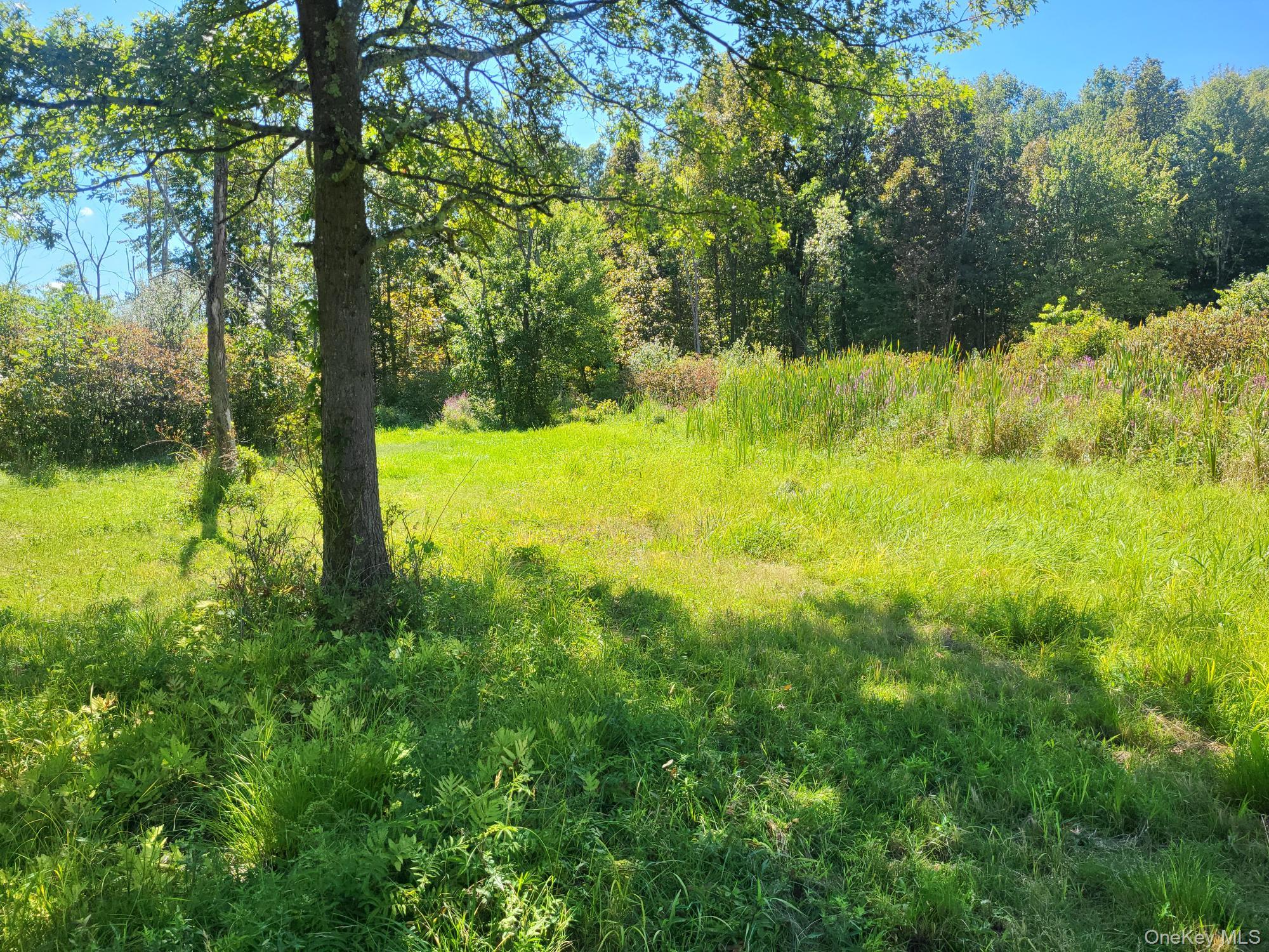 328 Bloomingburg Road, Middletown, NY 10940