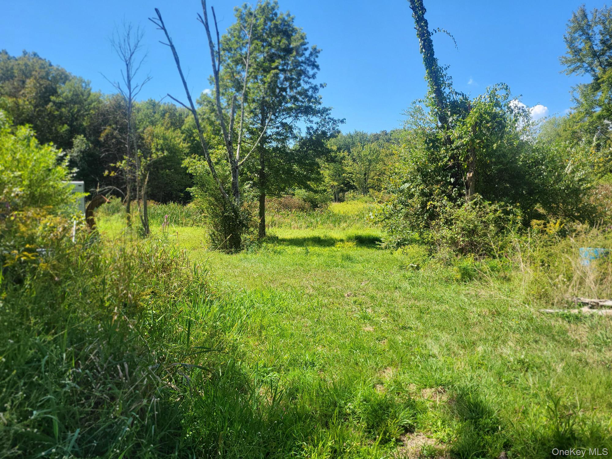 328 Bloomingburg Road, Middletown, NY 10940