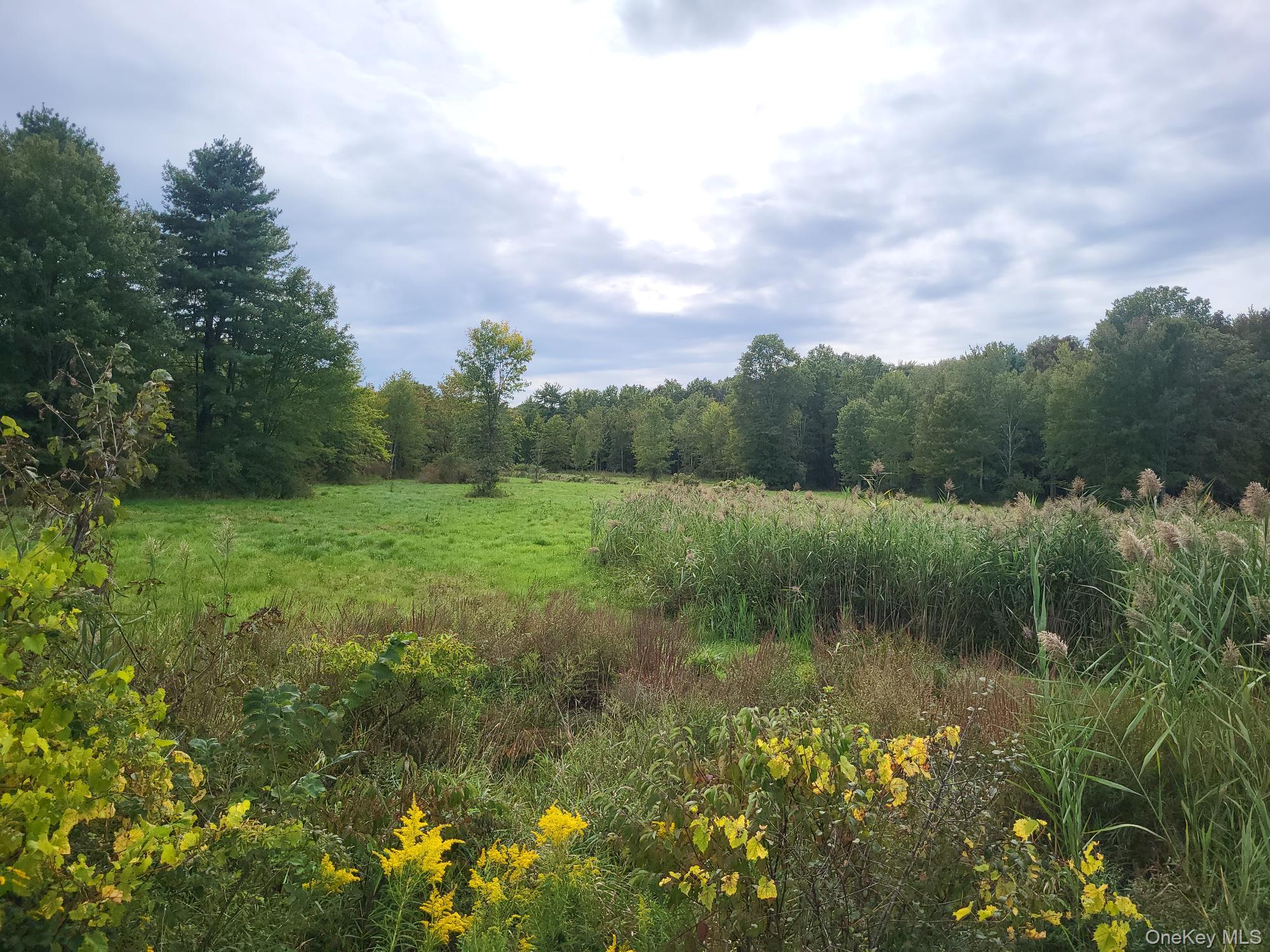 328 Bloomingburg Road, Middletown, NY 10940