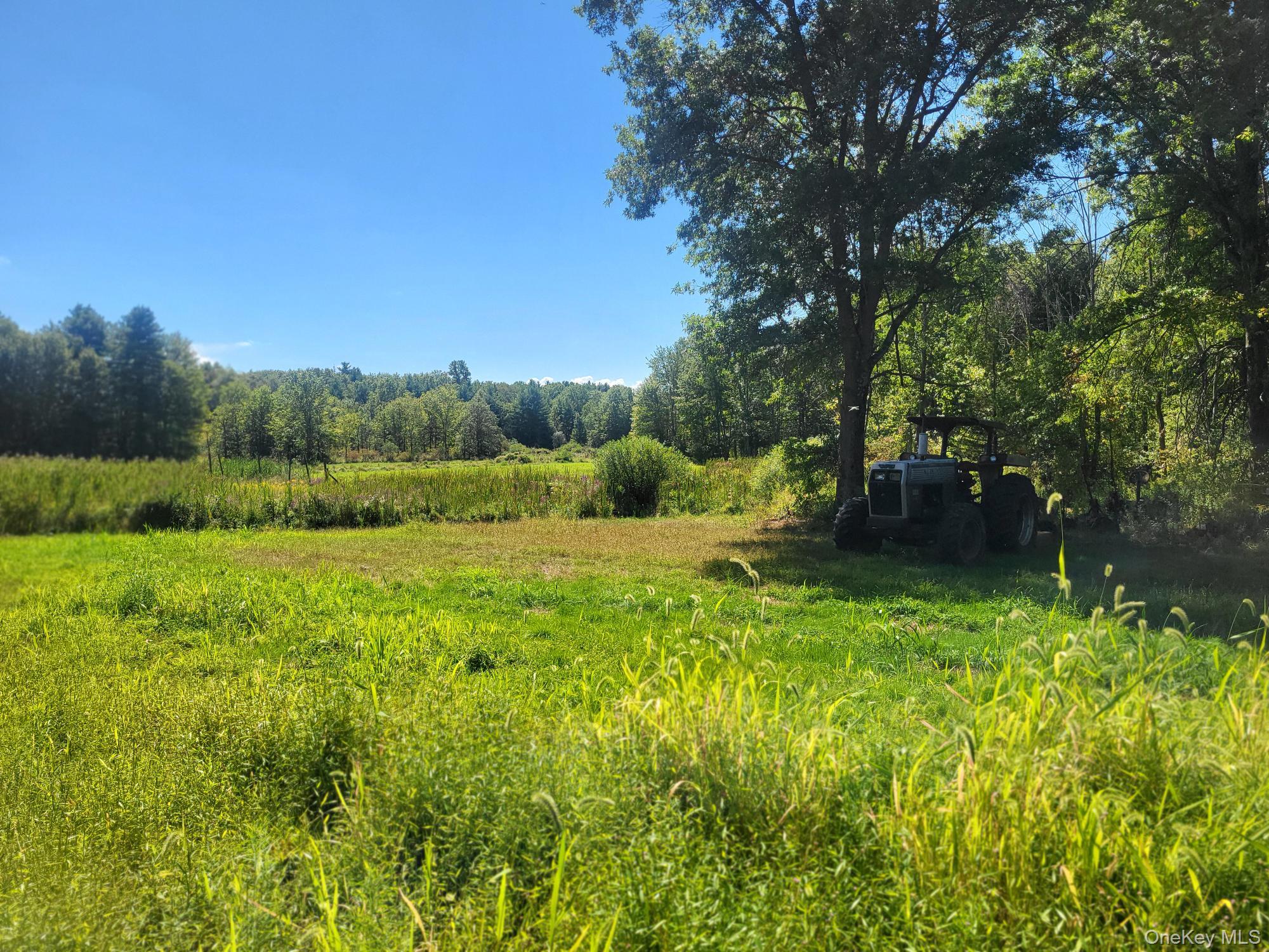 328 Bloomingburg Road, Middletown, NY 10940