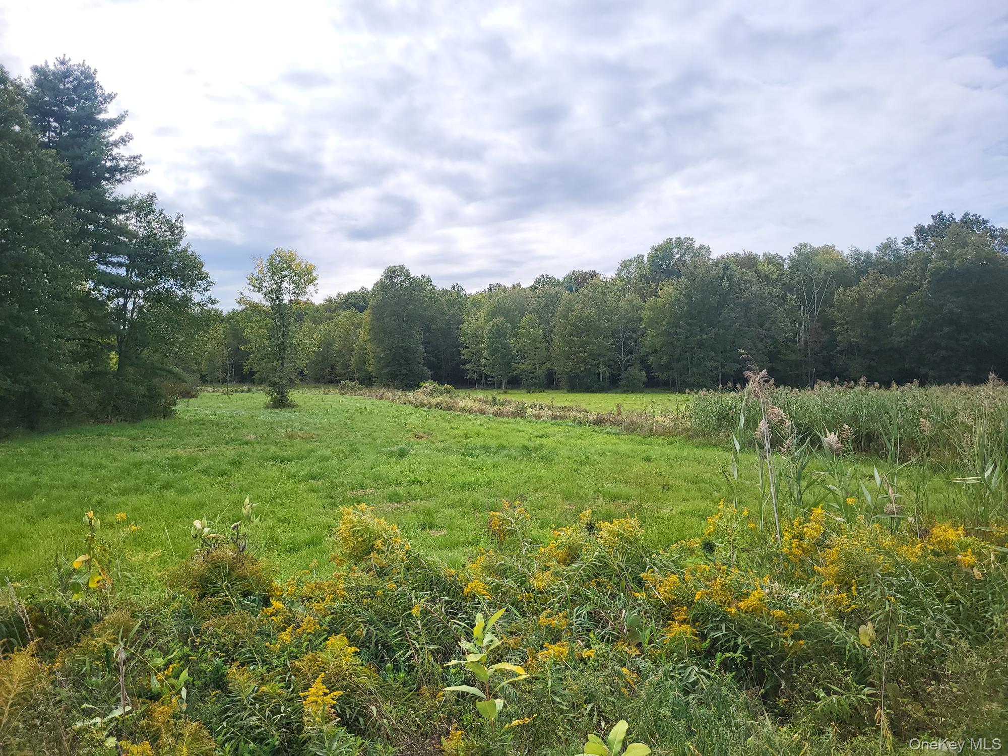 328 Bloomingburg Road, Middletown, NY 10940