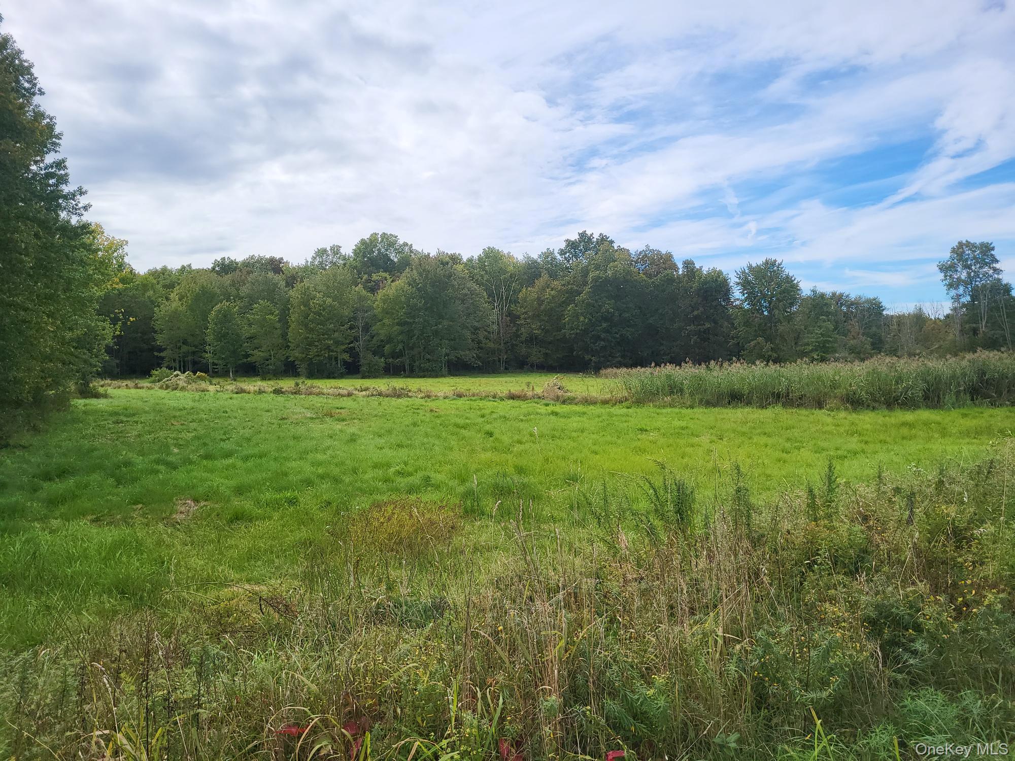 328 Bloomingburg Road, Middletown, NY 10940