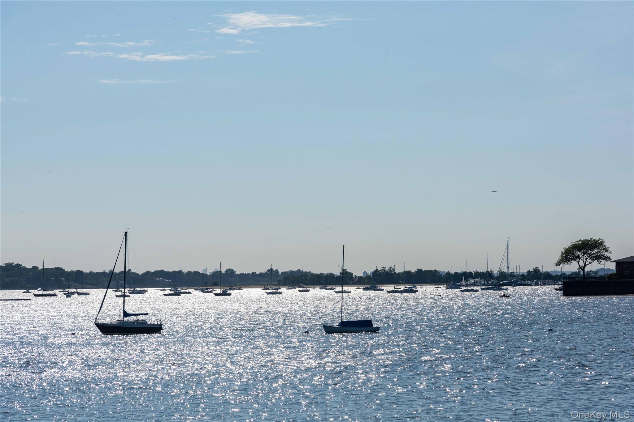 372 Main Street # 105, Port Washington, NY 11050