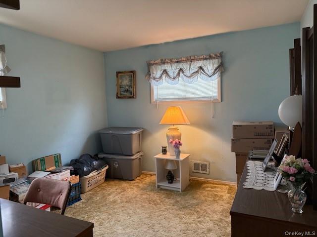 145 W 18th Street, Deer Park, NY 11729