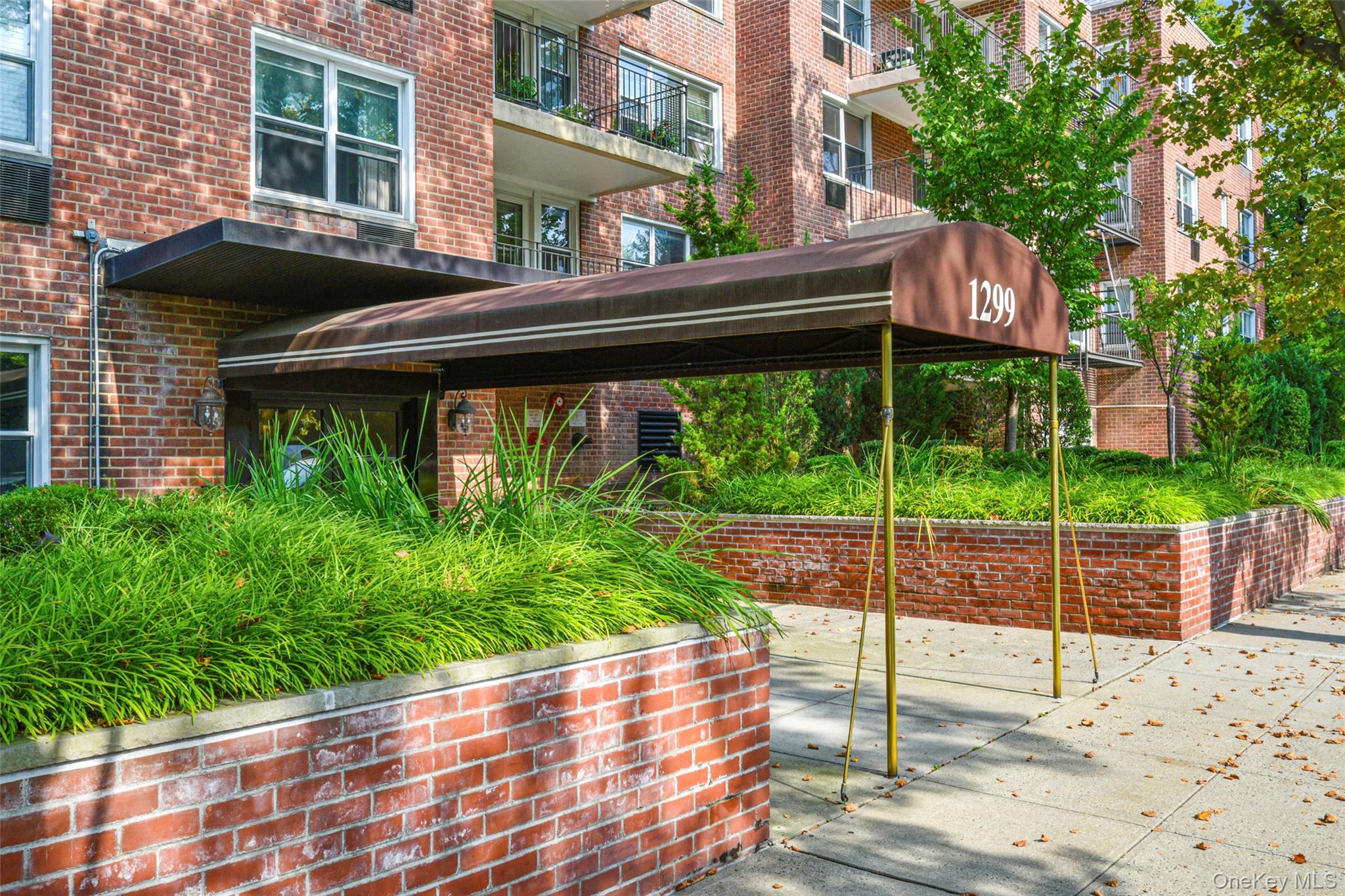 1299 Palmer Avenue # 237, Larchmont, NY 10538