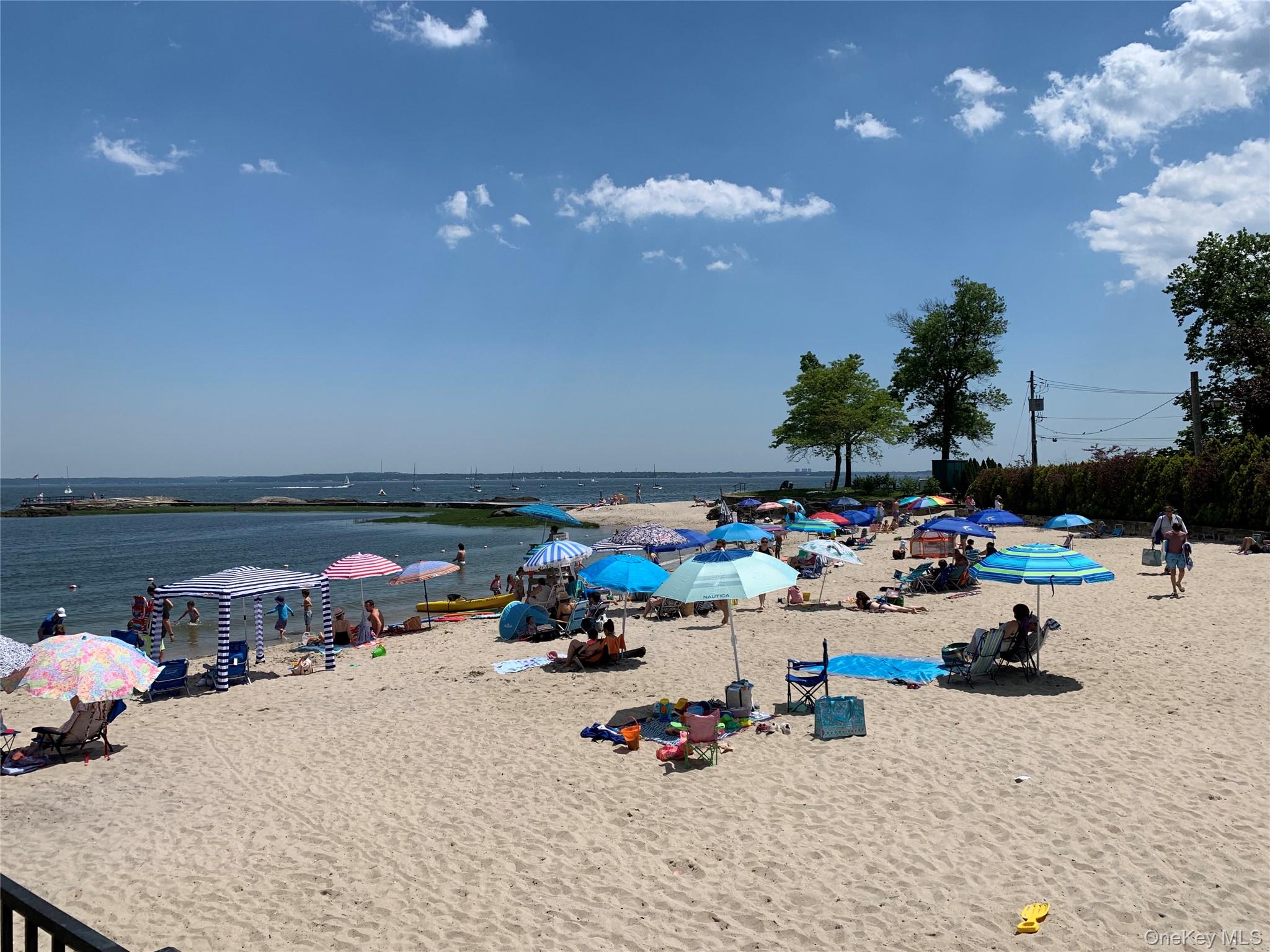 1299 Palmer Avenue # 237, Larchmont, NY 10538