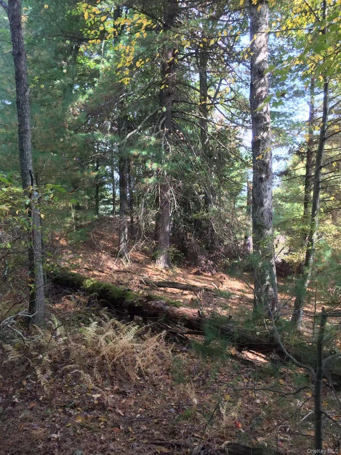 Lot 2A Renee Drive, Other, PA 18328