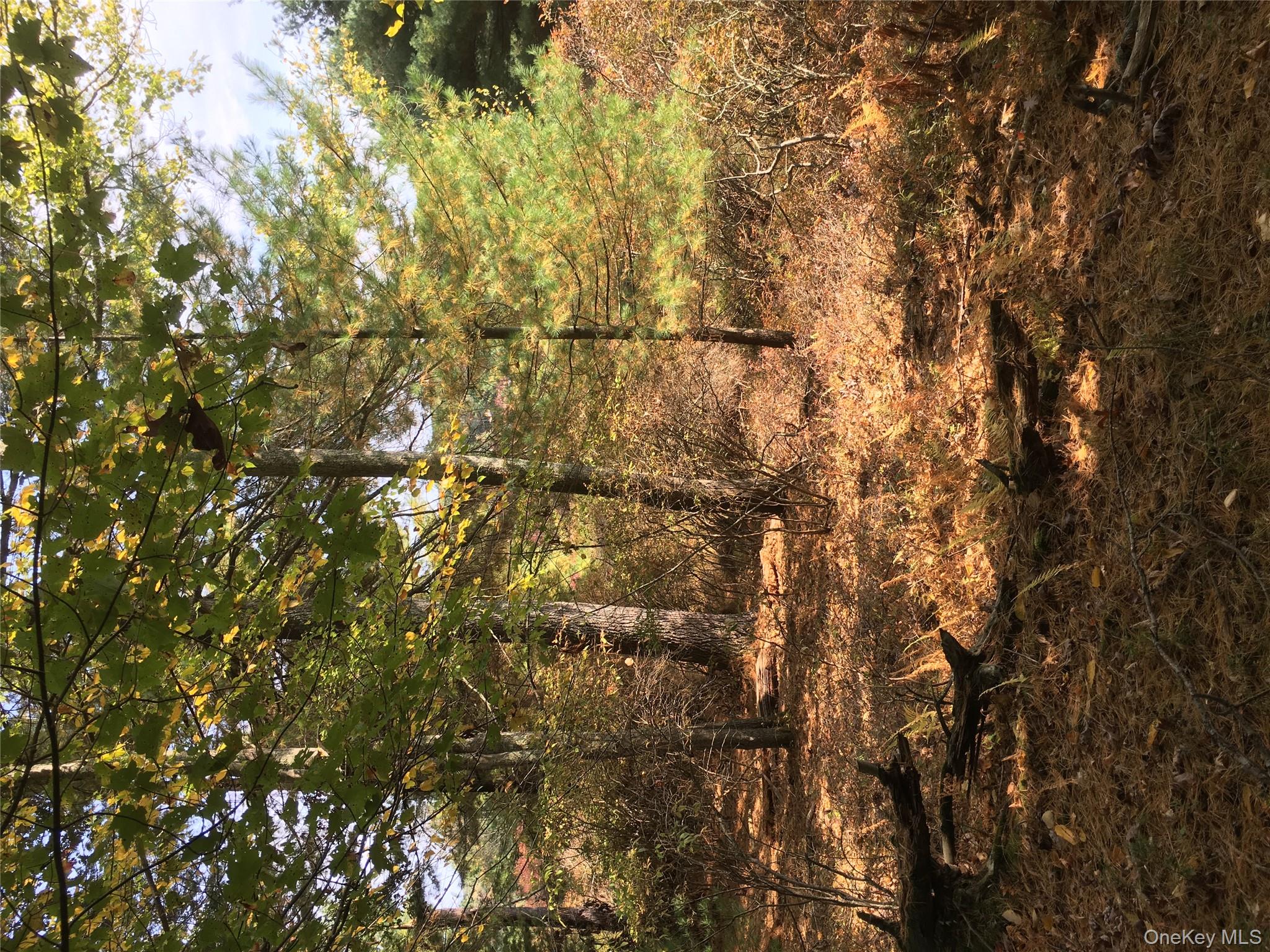 Lot 2A Renee Drive, Other, PA 18328