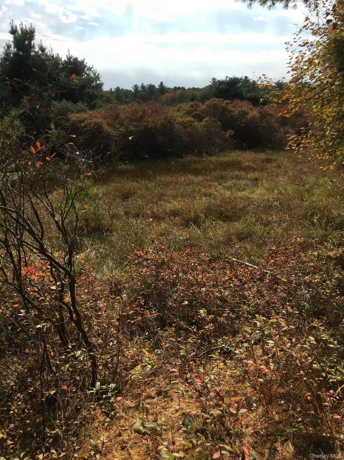 Lot 2A Renee Drive, Other, PA 18328