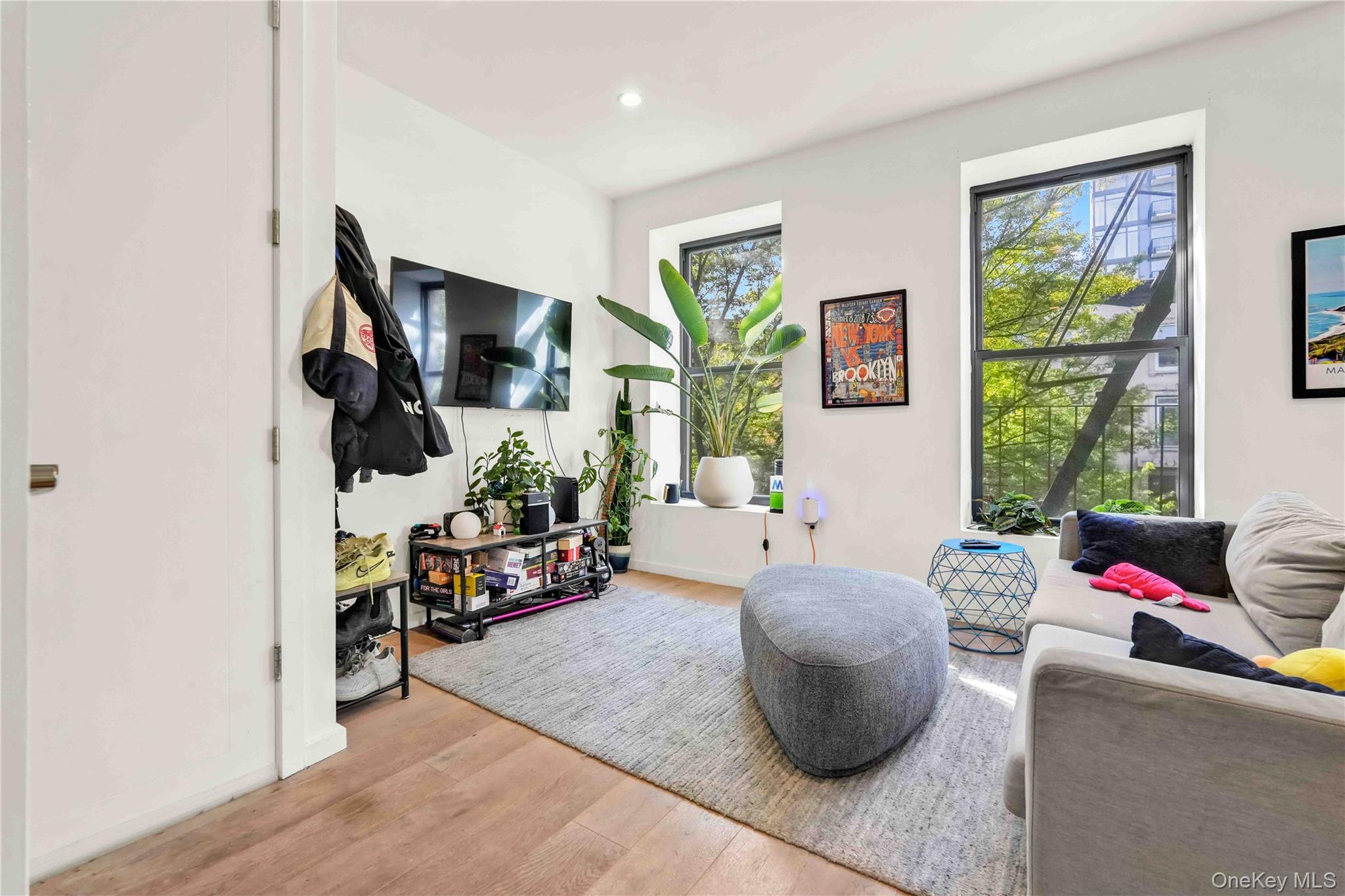 43 Halsey Street # 3, Brooklyn, NY 11216