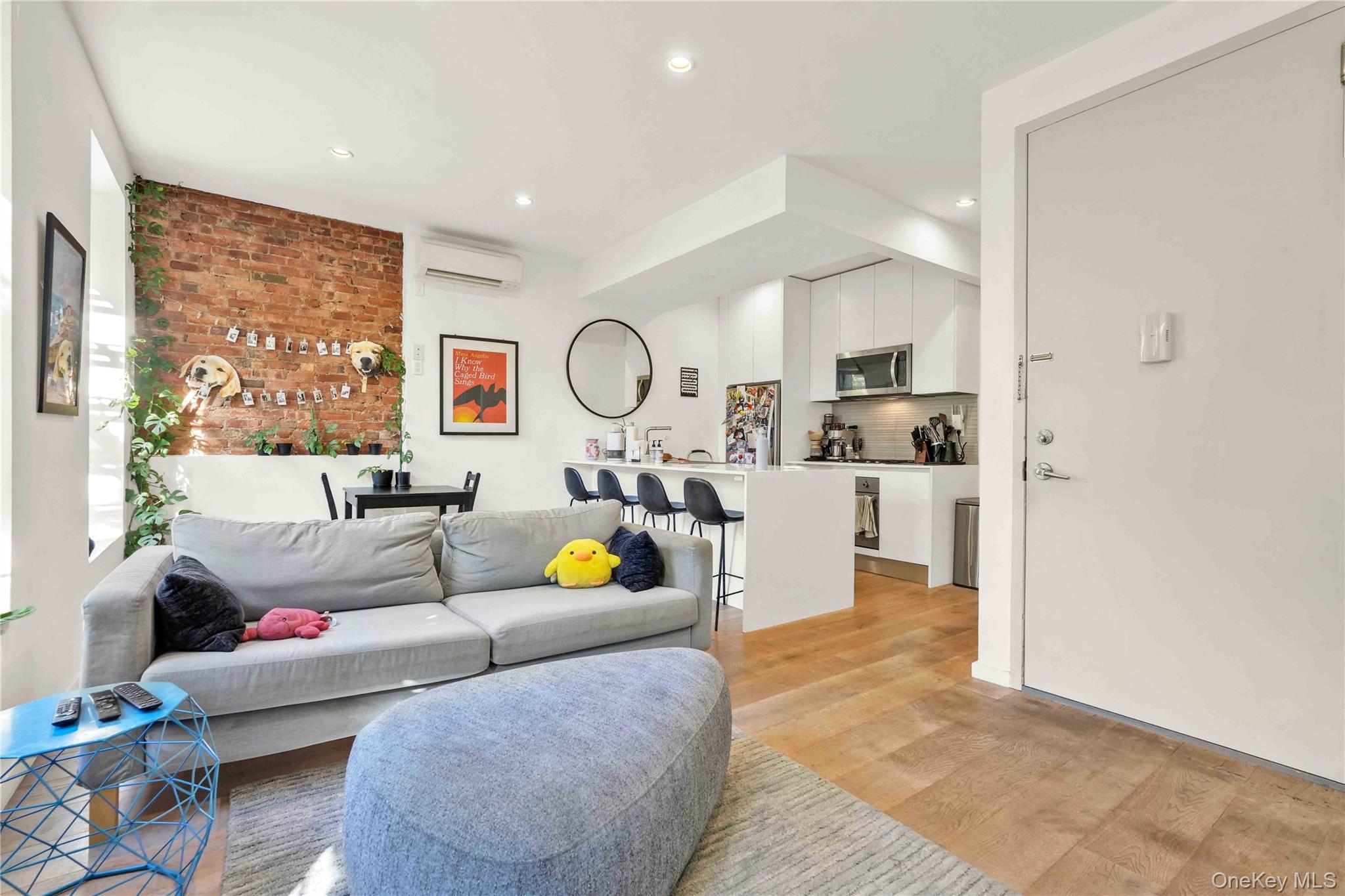 43 Halsey Street # 3, Brooklyn, NY 11216