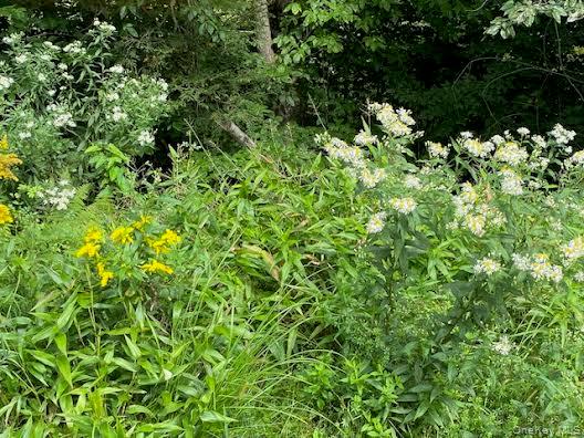 155 & 147 Sherman Road, Ellenville, NY 12428