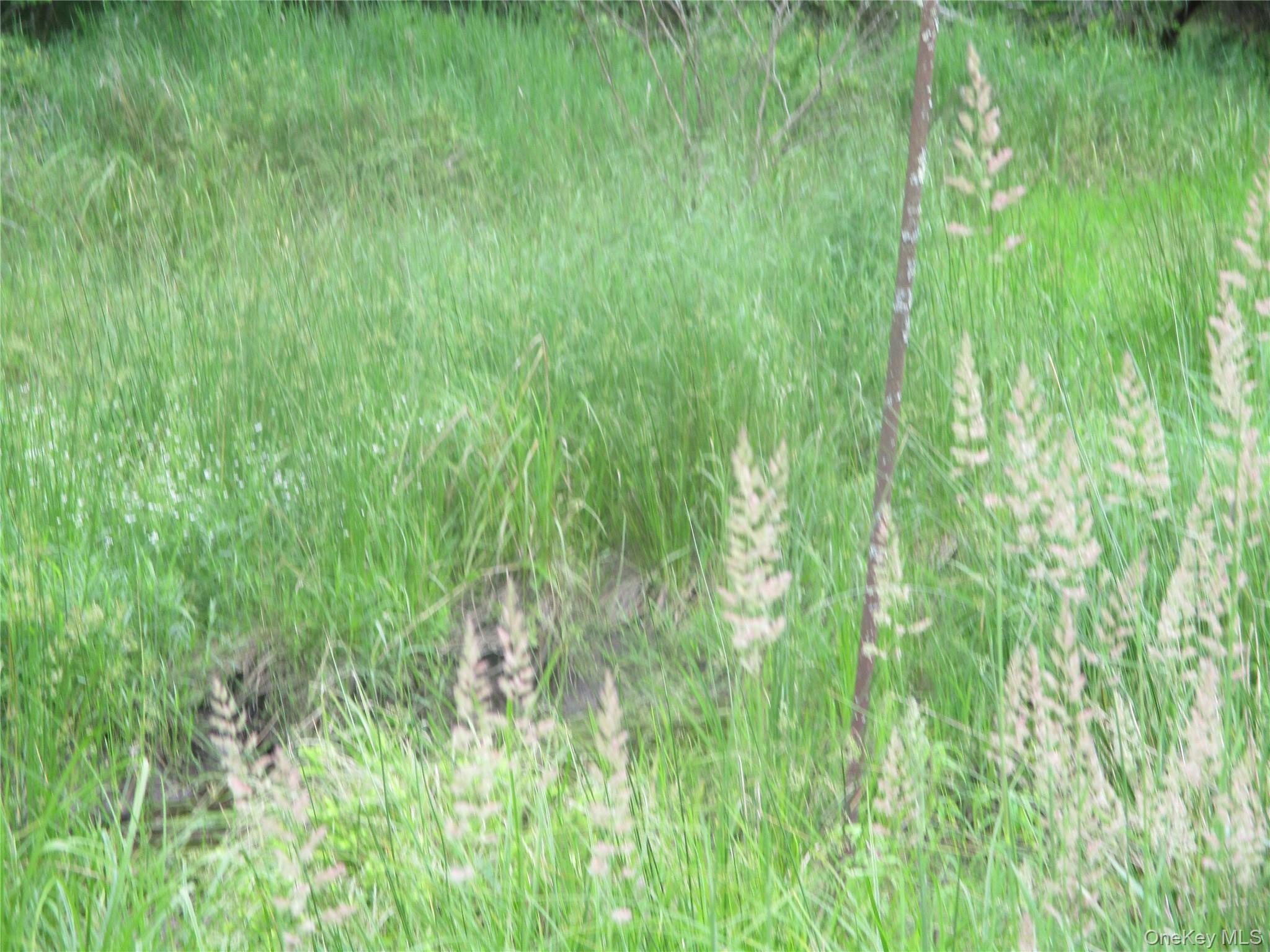 155 & 147 Sherman Road, Ellenville, NY 12428