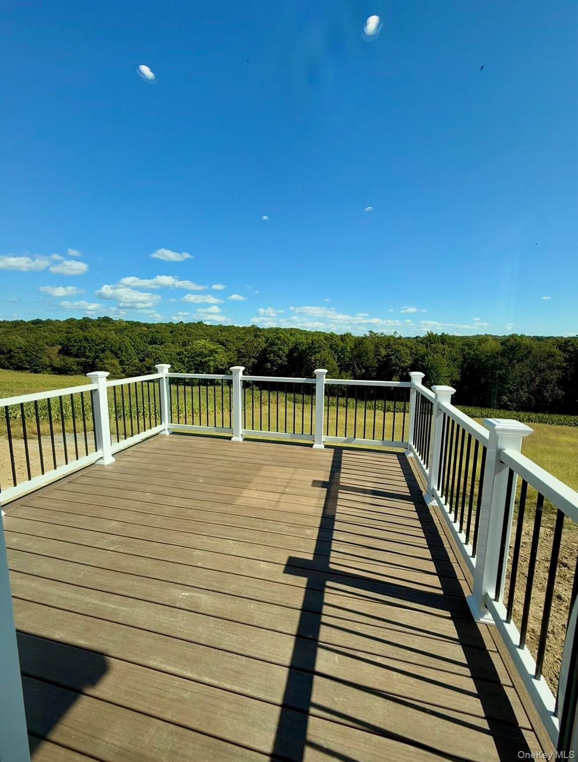 503 Howell Street, Pine Bush, NY 12566