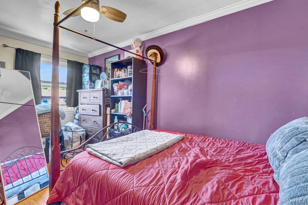 516 Elton Street, Brooklyn, NY 11208