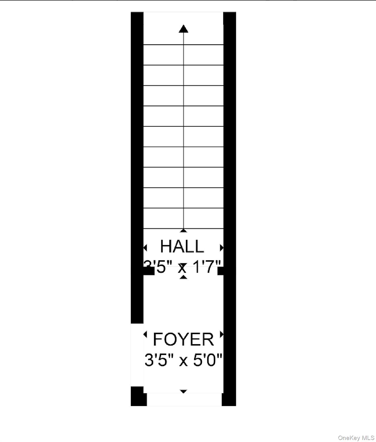 565 E 81st Street, Brooklyn, NY 11236