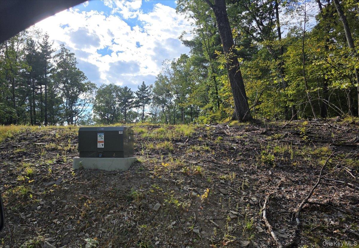 1927 County Route 67, Cairo, NY 12413