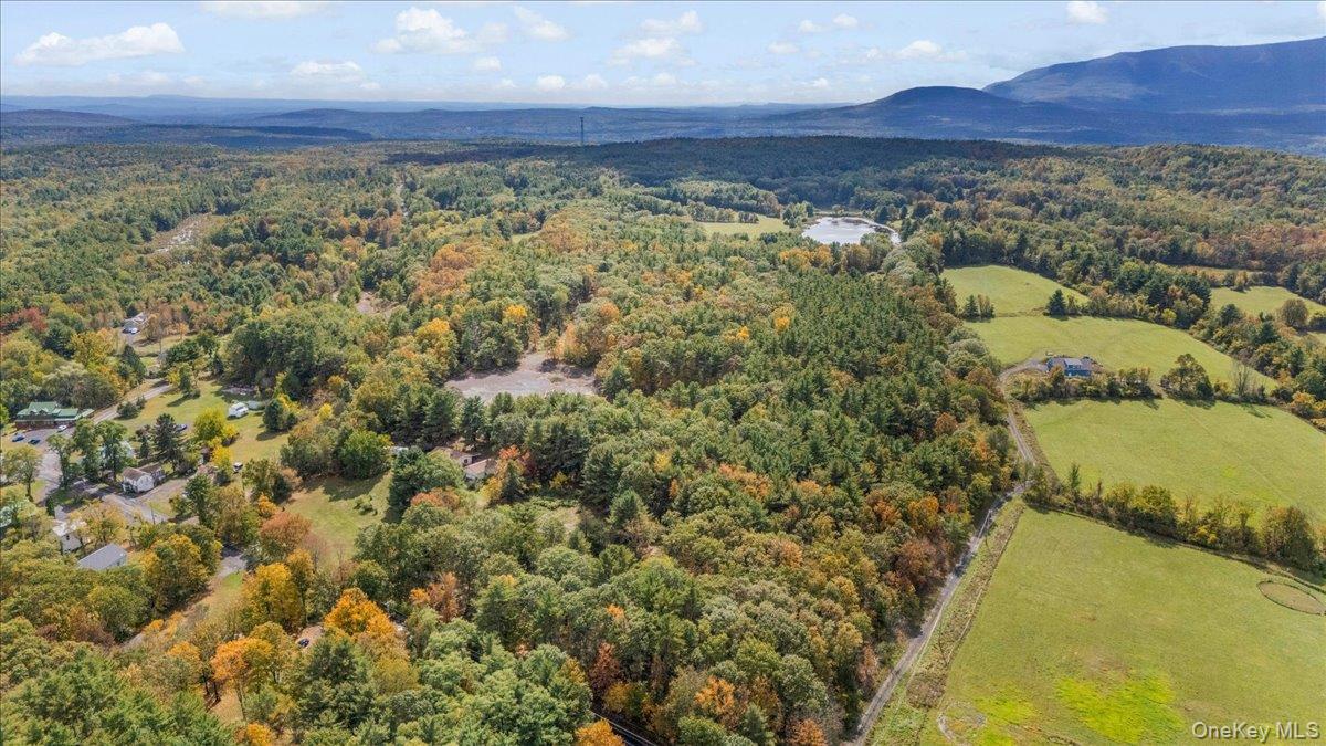 1927 County Route 67, Cairo, NY 12413