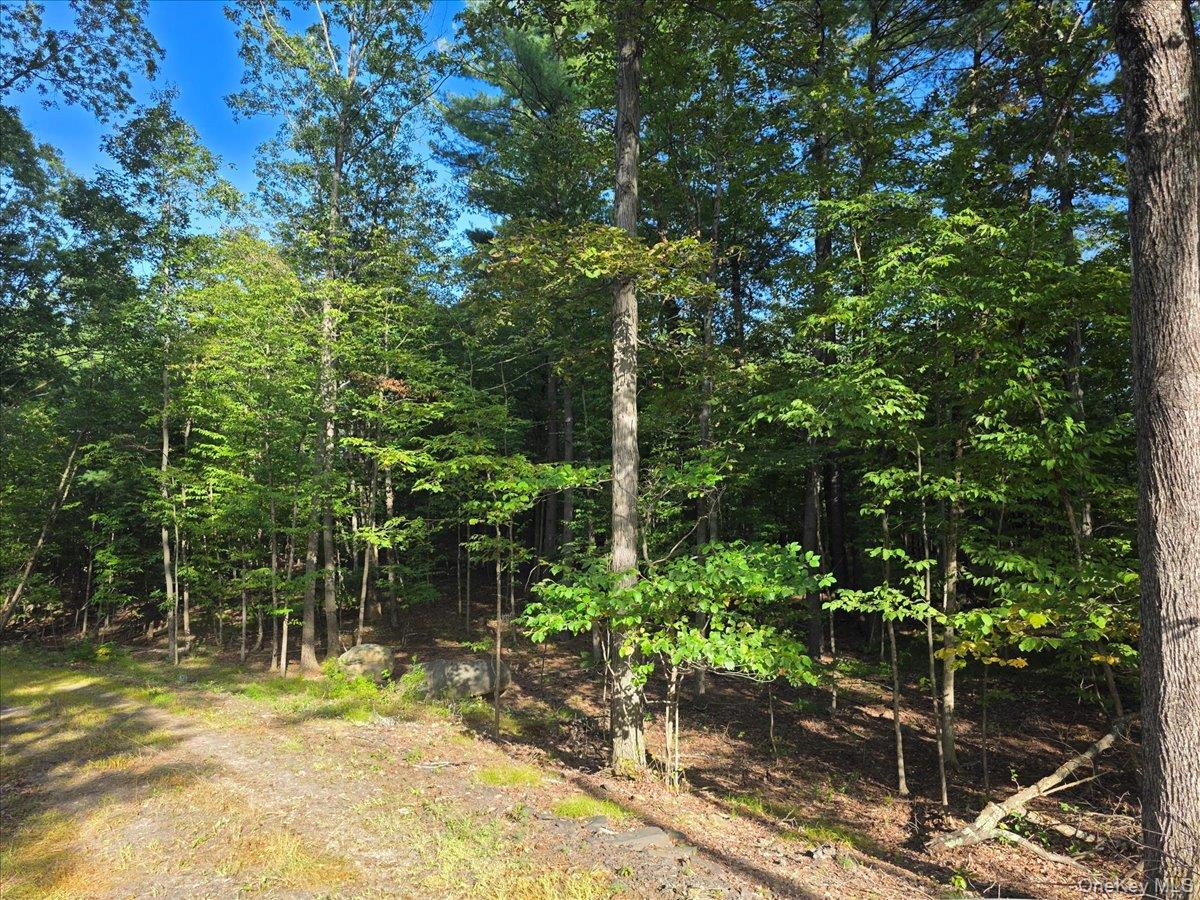 1927 County Route 67, Cairo, NY 12413