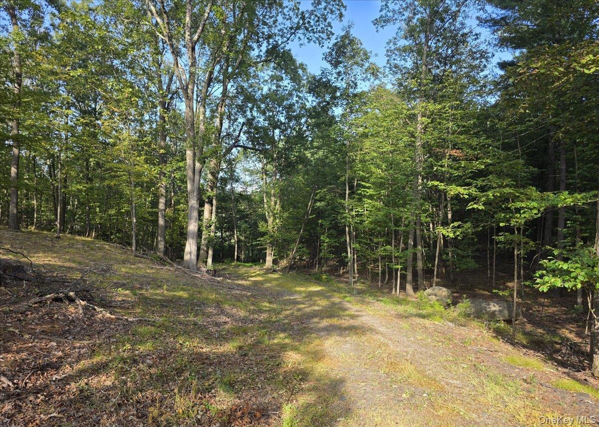 1927 County Route 67, Cairo, NY 12413