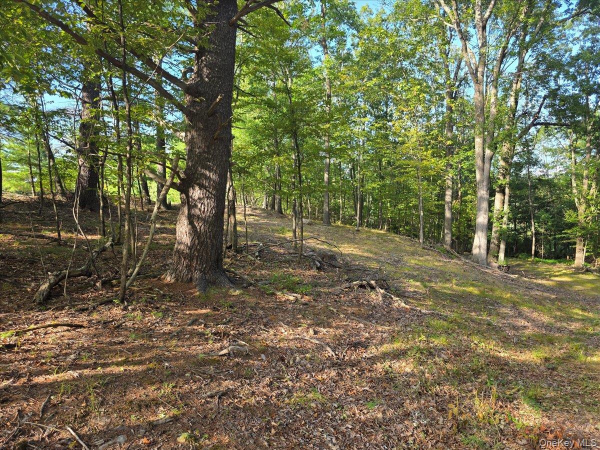 1927 County Route 67, Cairo, NY 12413