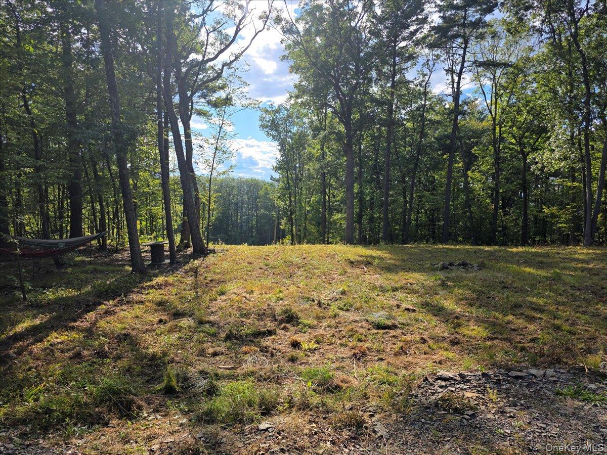 1927 County Route 67, Cairo, NY 12413