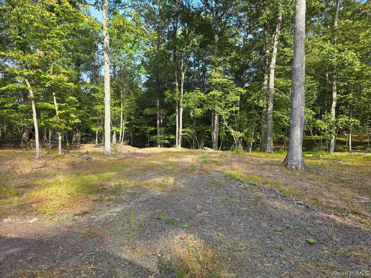 1927 County Route 67, Cairo, NY 12413