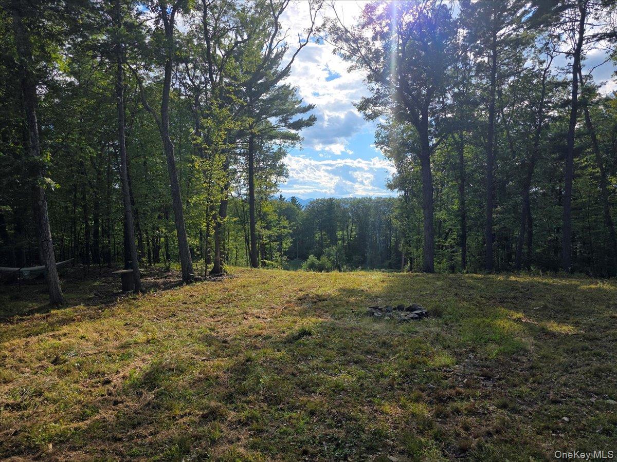 1927 County Route 67, Cairo, NY 12413