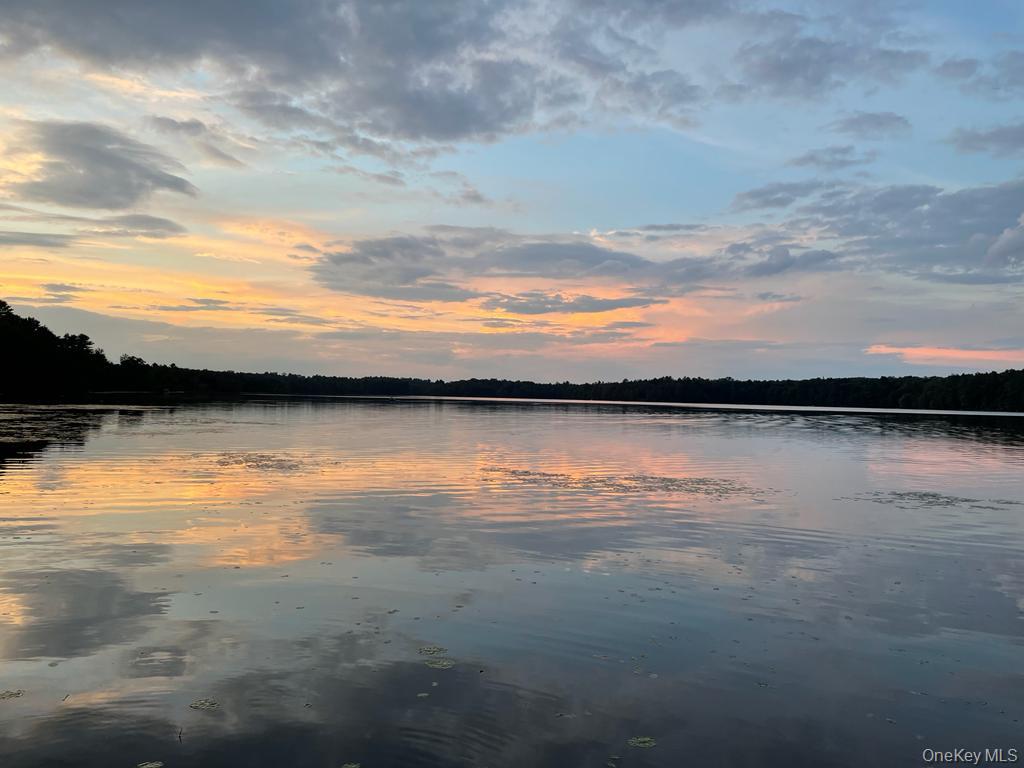 49 Oxford Drive, Bethel, NY 12786