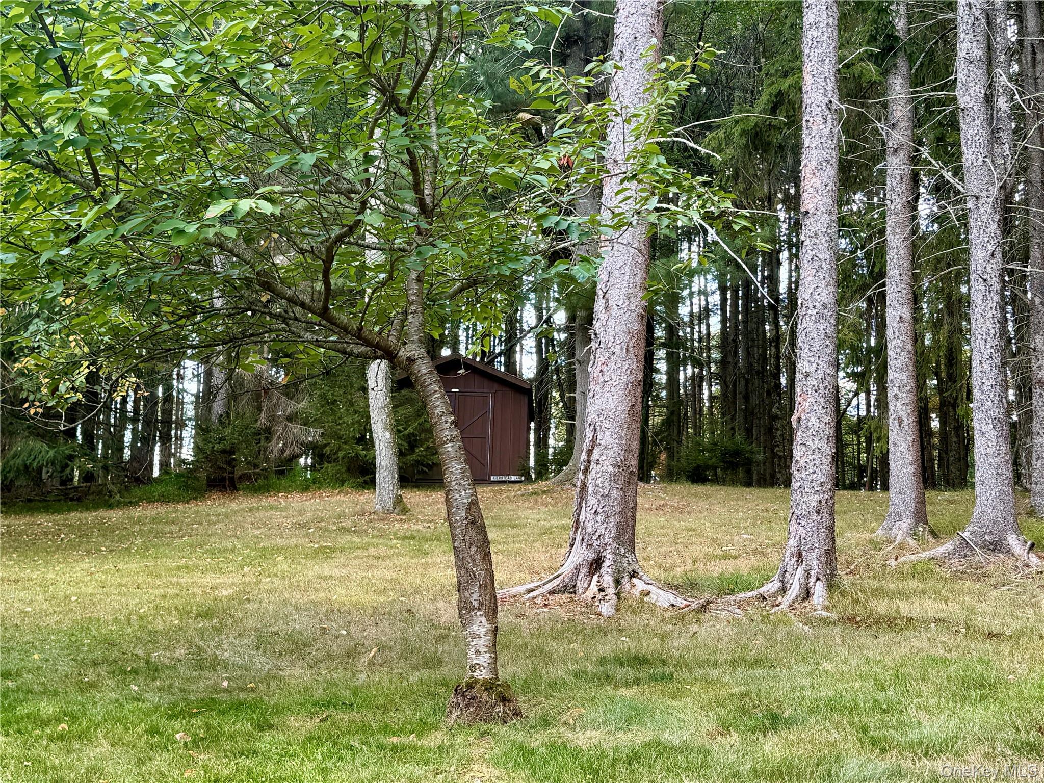 49 Oxford Drive, Bethel, NY 12786