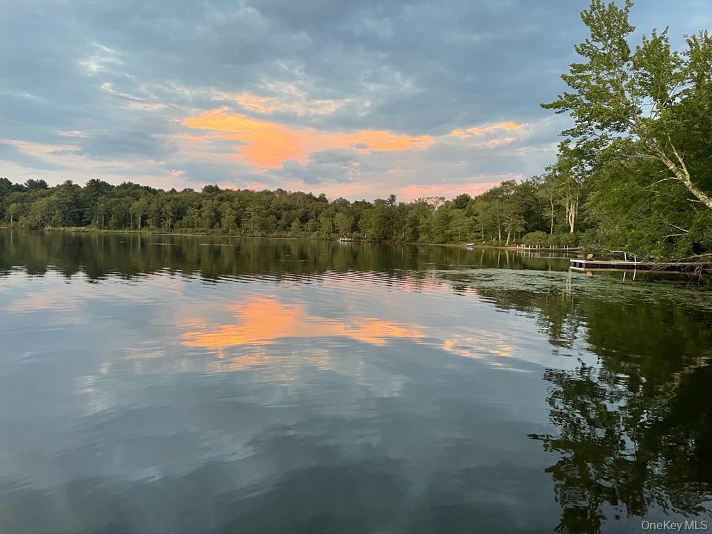 49 Oxford Drive, Bethel, NY 12786