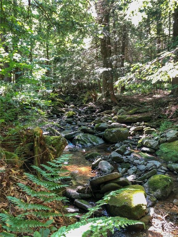 446 Shandelee Road, Livingston Manor, NY 12758