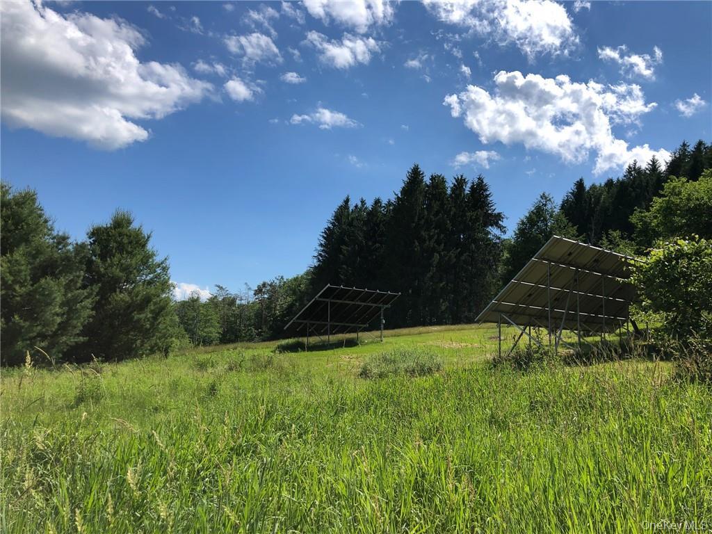 446 Shandelee Road, Livingston Manor, NY 12758